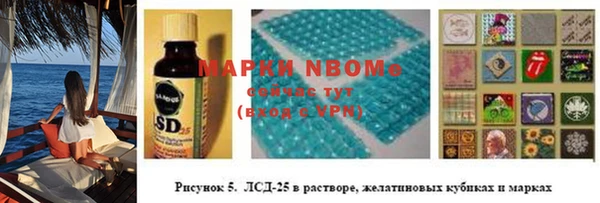шишки Алексин