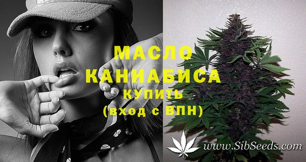 крисы Армянск