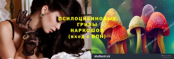 дмт Алексеевка