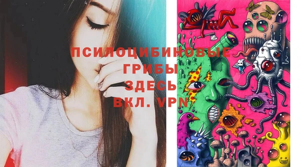 шишки Алексин