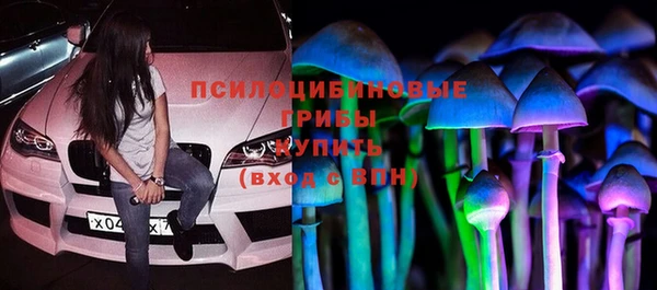 шишки Алексин