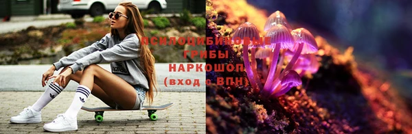 крисы Армянск