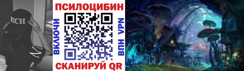 что такое   Кологрив  Галлюциногенные грибы Magic Shrooms 